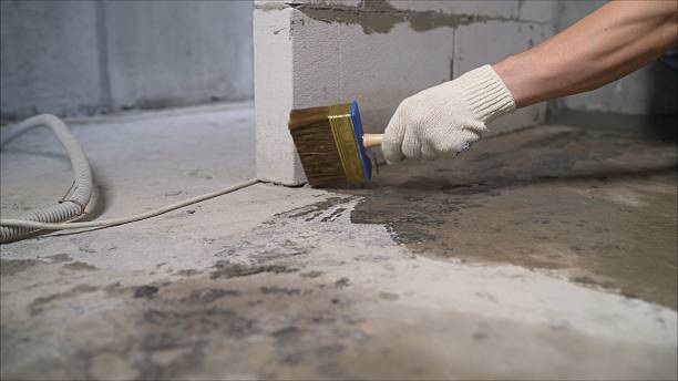 SJ Waterproofing Pros Waterproofing coverage map for Brighton, IL and surrounding area